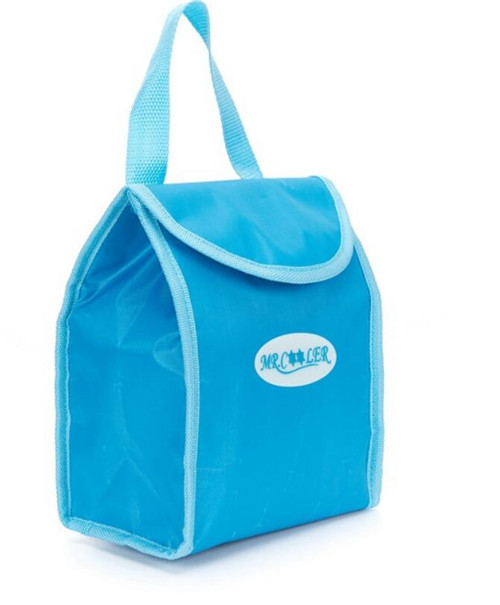 cooler bag