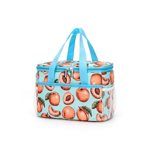 cooler bag