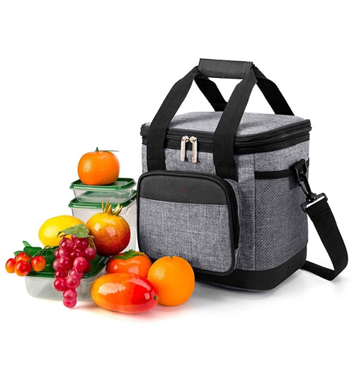 Insulated Adult Lunch Bag 